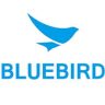 BlueBird Auticomp